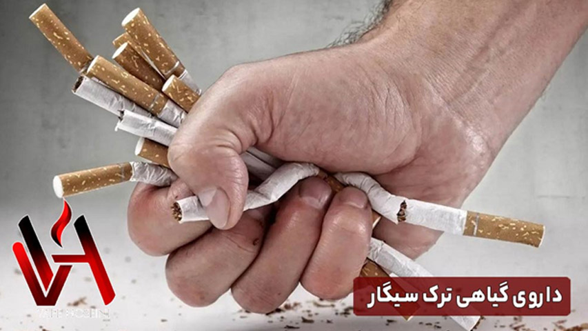 داروی گیاهی ترک سیگار